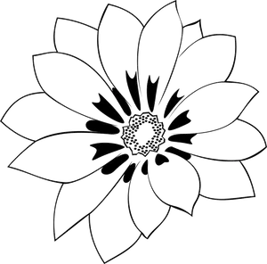 Detailed Flower Outline Graphic PNG Image