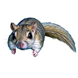 Detailed Flying Squirrel Png 11 PNG Image