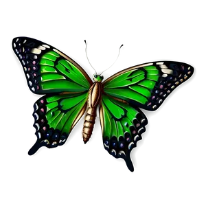 Detailed Green Butterfly Png 06202024 PNG Image