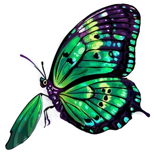 Detailed Green Butterfly Png Xse36 PNG Image