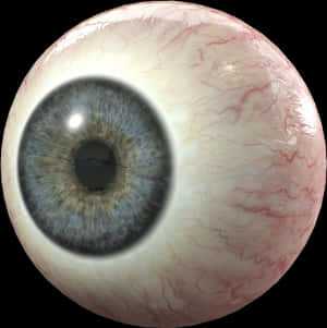 Detailed Human Eyeball Closeup PNG image with transparent background