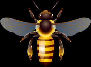 Bee Png - Clip Art Honey Bees, Transparent Png PNG image with transparent background