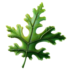 Detailed Oak Leaf Png 96 PNG Image