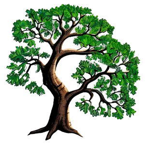 Detailed Oak Tree Drawing Png Srr PNG Image