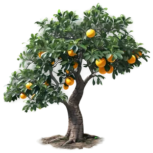 Detailed Orange Tree Png Hqp PNG Image