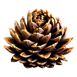 Detailed Pine Cone PNG 41 PNG