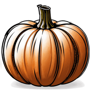 Detailed Pumpkin Outline Sketch PNG 54 PNG