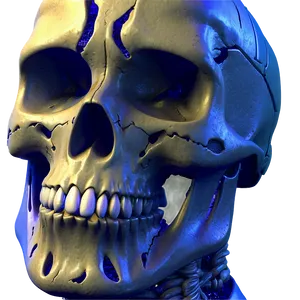 Detailed Skull Face Sketch Png 36 PNG Image