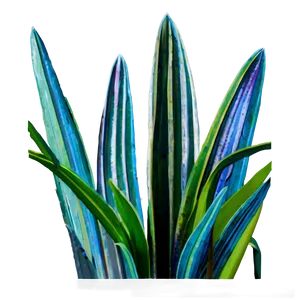 Detailed Snake Plant Png Cek PNG Image