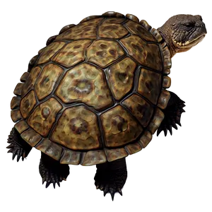 Detailed Snapping Turtle Artwork Png 11 PNG Image