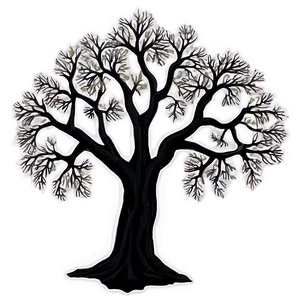 Detailed Tree Outline Png 29 PNG Image