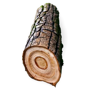 Detailed Wood Log Png 19 PNG Image