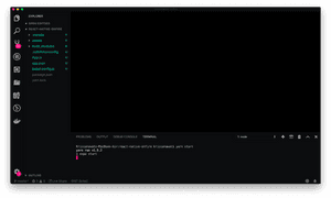 Developer I D E Screenwith Codeand Terminal PNG