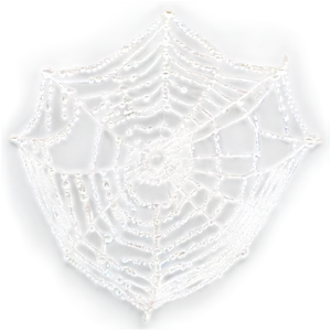 Dewy Cobweb Morning Png 59 PNG Image