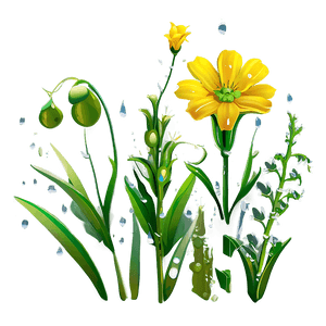 Dewy Wildflowers at Dawn PNG 2 PNG with transparent background