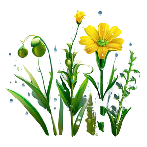 Dewy Wildflowers At Dawn Png 2 PNG Image