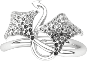 Transparent Wedding Rings Png Without Background - Transparent Background Jewellery Png, Png Download PNG image with transparent background