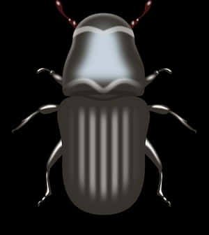 Digital Art Beetle Illustration PNG image with transparent background