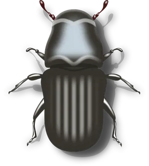 Digital Art Beetle Illustration PNG Image