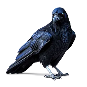 Digital Art Raven Png Swk1 PNG Image