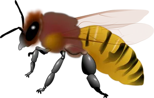 Digital Artworkof Bee PNG Image