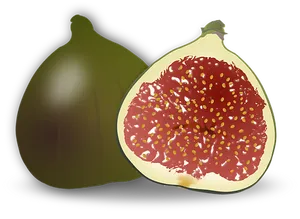 Digital Artworkof Fig Fruit PNG Image