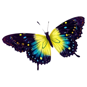 Digital Black Butterfly Artwork Png 06252024 PNG Image