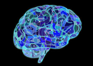 Digital Brain Illustration PNG image with transparent background