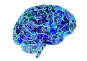 Digital Brain Illustration PNG Image