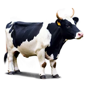 Digital Cow Spots File Png 59 PNG Image