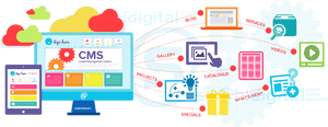 Wordpress Content Management Systems Perth Australia - Cms Web, HD Png Download PNG with transparent background