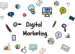 About Image - Cartoon, HD Png Download PNG image with transparent background