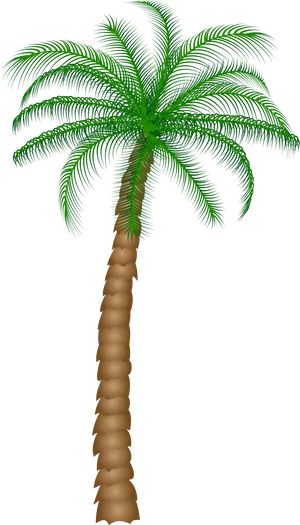 Digital Palm Tree Artwork PNG Image