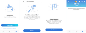 Digital Wallet Setup Screens PNG image with transparent background