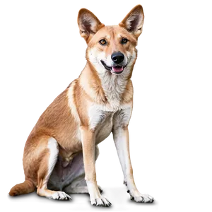 Dingo And Joey Png Bij88 PNG Image