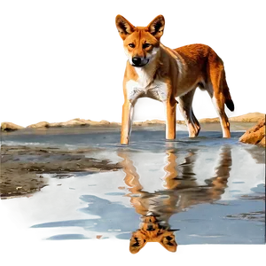 Dingo Waterhole Scene Png Jbk PNG Image