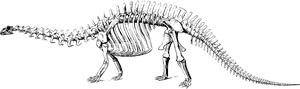 Black And White Dinosaur Fossil Clipart, HD Png Download PNG with transparent background
