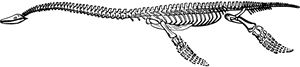 กระดูก ไดโนเสาร์, HD Png Download PNG with transparent background