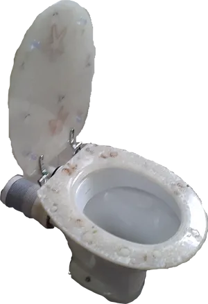 Dirty Toilet Bathroom Hygiene Issue PNG Image