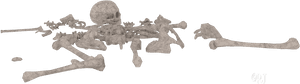 Disassembled Skeleton3 D Model PNG image with transparent background