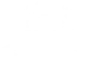 Discord Partner Logo PNG Image