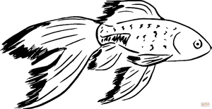 Disegno Di Un Pesce, HD Png Download PNG image with transparent background