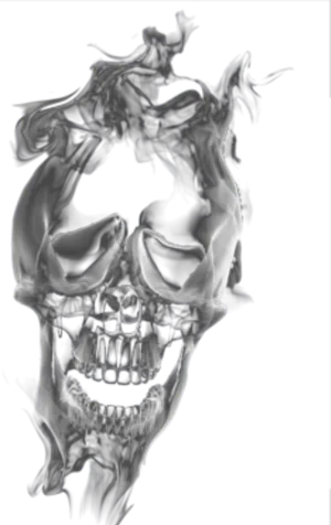 Distorted Skull Illusion PNG Image