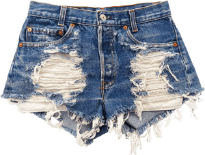 Ripped Jean Shorts Png, Transparent Png PNG image with transparent background