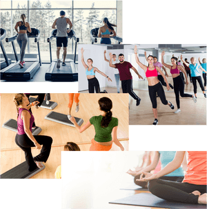 Picture - Quiet Treadmill, HD Png Download PNG