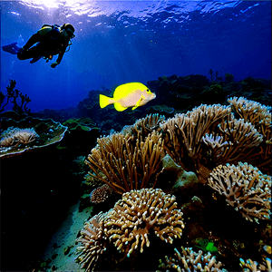 Diving in Exotic Locations PNG kas PNG image with transparent background