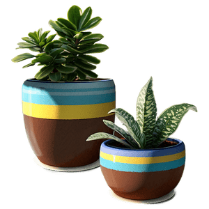 DIY Potted Plant Projects PNG 06122024 PNG