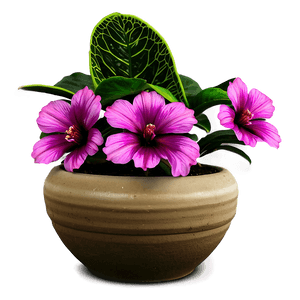DIY Potted Plant Projects PNG 72 PNG