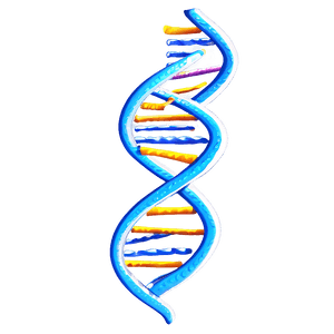 DNA Helix Model PNG 63 PNG image with transparent background