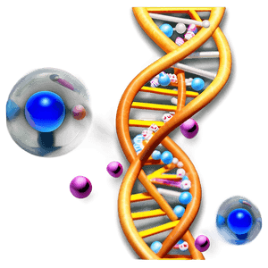 DNA Helix Model PNG 99 PNG image with transparent background